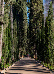 Sticker - Alhambra Park, Granada, Spain

