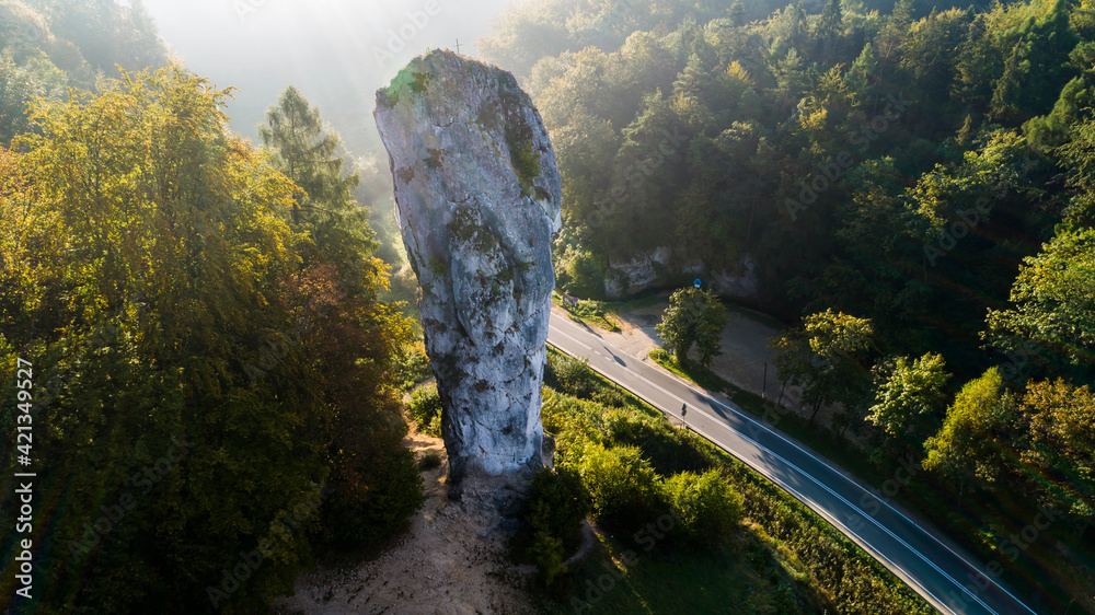 Limestone cliff Pieskowa Skala near Krakow, Poland, with isolated rock "Maczuga Herkuklesa" Hercules's mace - obrazy, fototapety, plakaty 