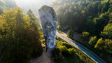 Fototapeta  - Limestone cliff Pieskowa Skala near Krakow, Poland, with isolated rock 