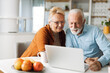 © Goran - Happy mature couple using laptop at home