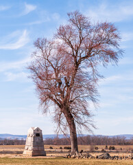 A stone military monument next to a tree on the Gettysburg National Military Park on a sunny spring day