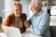 © Goran - Happy mature couple using laptop at home