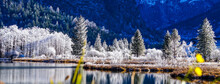 Scenic View Of Lake In Forest During Winter