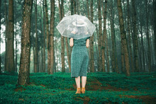 Rear View Of Woman Holding Umbrella Standing By Tree Trunk In Forest