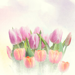 Wall Mural - Watercolor digital painting of tulip flowers.