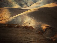 Desert Of Judah
