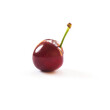 One red cherry isolated on white background.