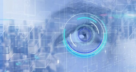 Poster - Animation of scope scanning and data processing over woman's eye on blue background