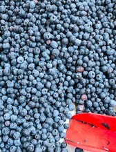 Full Frame Shot Of Blueberries