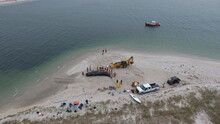 High Angle View Of People Standing By Whale And Earth Mover On Beach