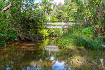 Sticker - Bridge across  stream Sky and tree reflected beautifully on Kaitoke Hot