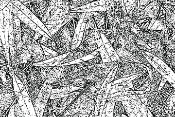 Wall Mural - Grunge organic texture of fallen leaves. Monochrome background of the natural forest floor with chaotic leaves, spots, noise and grain. Overlay template. Vector illustration