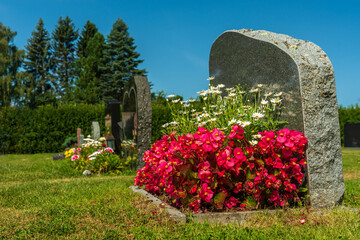 Wall Mural - Summer view of a row of gravestones with colorful flowers