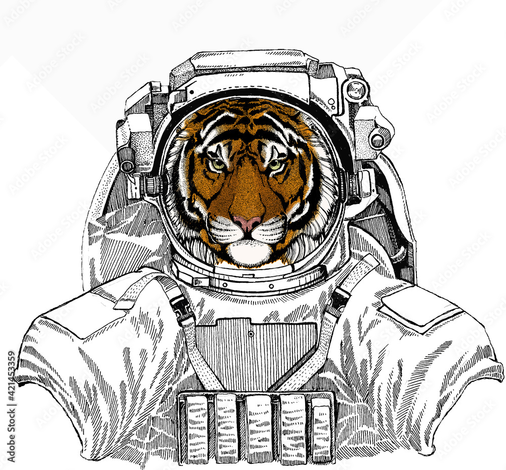 Vector tiger portrait. Animal head. Wild astronaut animal in spacesuit. Deep space. Galaxy. - obrazy, fototapety, plakaty 