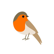 Cartoon Robin Bird. Cute Bird. Vector Illustration For Prints, Clothing, Packaging, Stickers.