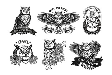 Fototapete - Black label designs with owls vector illustration set. Vintage badges with flying night owl or eagle-owl. Birds and forest animals concept can be used for retro template, banner or poster