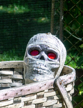 Wrapped Mummy With Glowing Eyes Lies In A Large Basket
