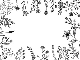 Wall Mural - vector, isolated, background sketch plants, grass, flowers