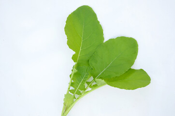 Closeup shot of green spinach leaves isolated on a white background