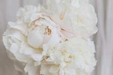 Beautiful Stylish White Peonies Bouquet Close Up On Pastel Beige Fabric Background. Floral Aesthetic