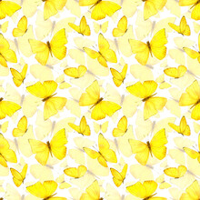 Seamless Pattern. Yellow Butterflies On A White Background. The Pattern Is Suitable For Fabric Or Paper.