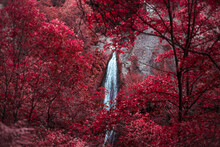 Waterfall In Tbilisi Botanical Garden, In Infrared