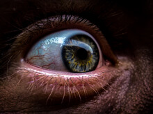 Close-up Of Human Eye