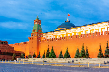 Wall Mural - Red square with Senate palace at night, Moscow, Russia