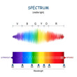 spectrum. Visible light