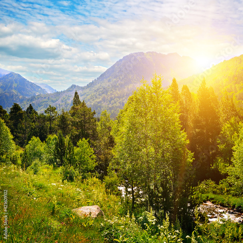 Plakat Pireneje  piekny-letni-krajobraz-gorski-pireneje-andora