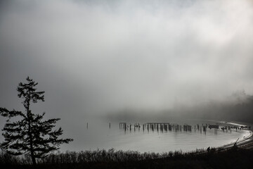 Ship Harbor, Anacortes, Washington State, salmon cannery pilings, beach, fog