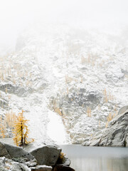 Poster - USA, Washington State. Alpine Lakes Wilderness, Enchantment Lakes, Larch trees and snow