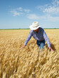 © John Kelly/Tetra Images - Farmer standing in wheat field