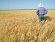© John Kelly/Tetra Images - Farmer standing in wheat field