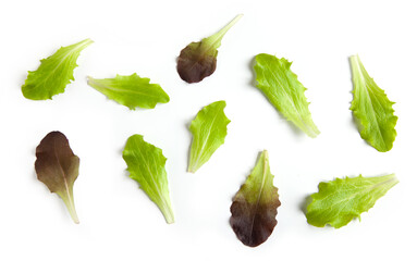 Wall Mural - fresh raw lettuce leaves