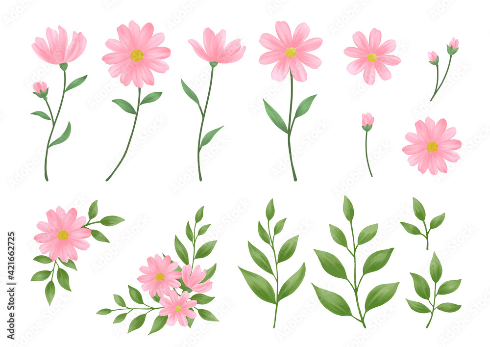 ピンク色の花のイラスト素材. 水彩タッチの手描き. フレームや装飾用の