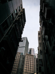 Poster - Low angle shot of high-rise residential buildings against the sky