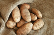 A top view image of large organic russet potatoes on a brown burlap sack. 