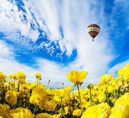 Sticker - Huge hot air balloon flies