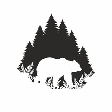 Silhouette Of A Bear In The Forest