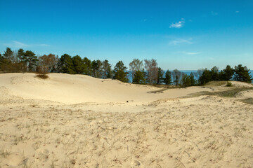 Poster - Sand dunes at the Baltic sea.