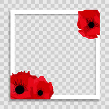 Empty Photo Frame Template With Spring Poppy Flowers For Media Post  In Social Network. Vector Illustration