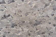 Brown Dirt Footpath Backdrop. Natural Mud Texture Pattern As Abstract Background.