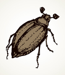 Canvas Print - Chafer. Vector drawing of a big beetle