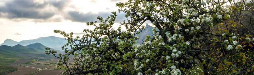 Sticker - Mountain spring landscape