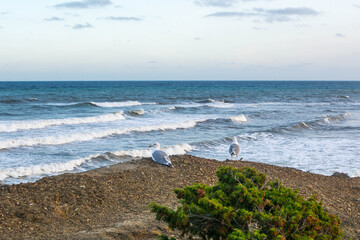 Wall Mural - Sea coast