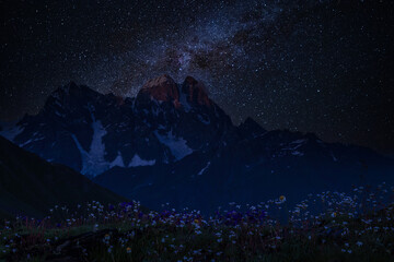 Wall Mural - meadow and mountains at night