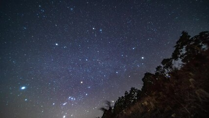 Wall Mural - sky with stars