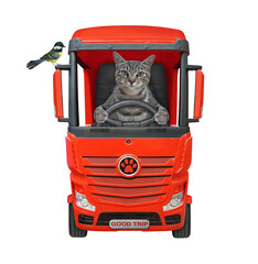 Wall Mural - A gray cat is driving a big red truck. A bird is on a car mirror. White background. Isolated.