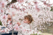 Father and daughter blossom almond tree